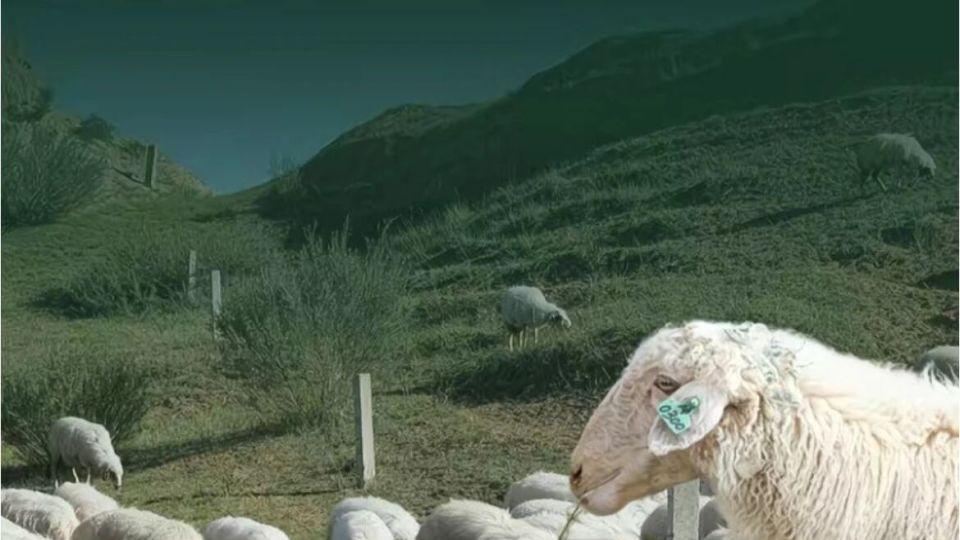 过年返不返乡，都有碗地道热汤在拼多多等你