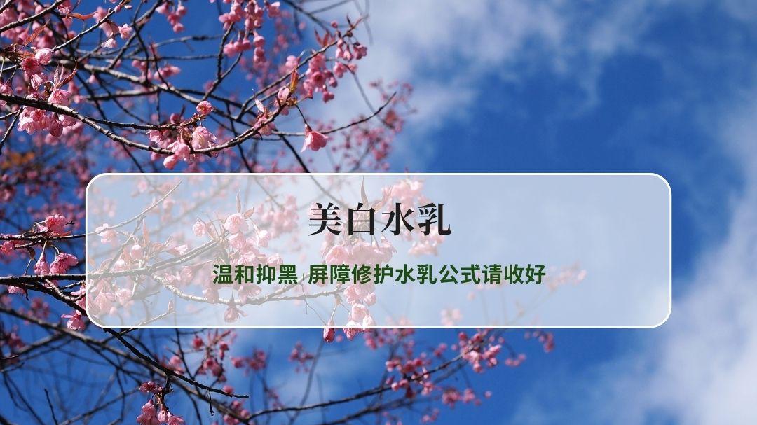 暗沉黄气痘印反复？2026美白水乳推荐，温和抑黑+屏障修护水乳公式请收好