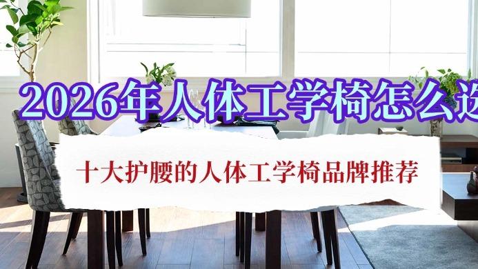 2026年人体工学椅怎么选？十大护腰的人体工学椅品牌推荐