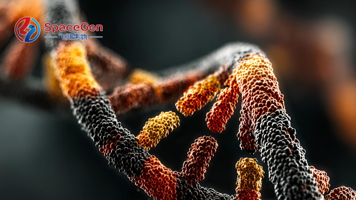 穿刺结果“模棱两可”？基因检测一锤定音！