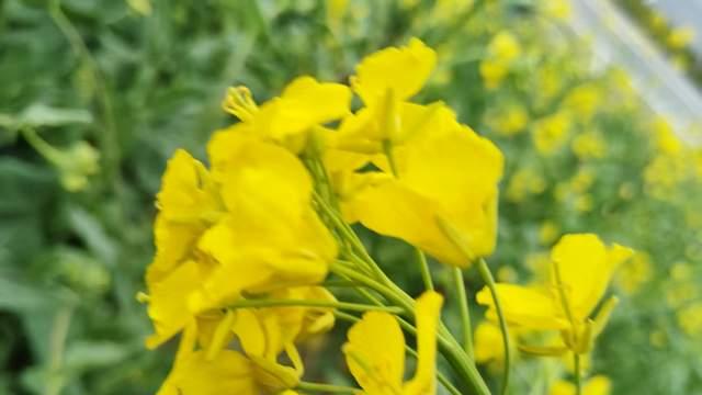 别再用分数定义孩子！青春期父母最该做的，是帮他们找回学习信心