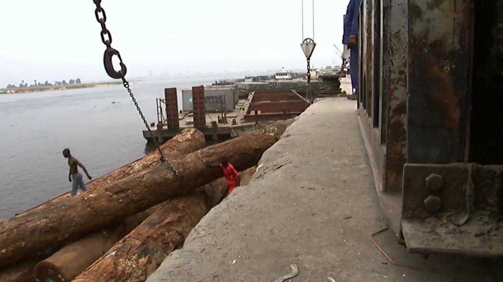 刚果（布）原木出口禁令松绑？出口商：或放行更大批量出口