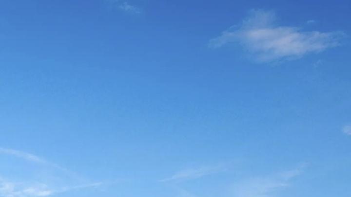 可叹呀，都富婆的年纪了，却没有让男人吃软饭的能力