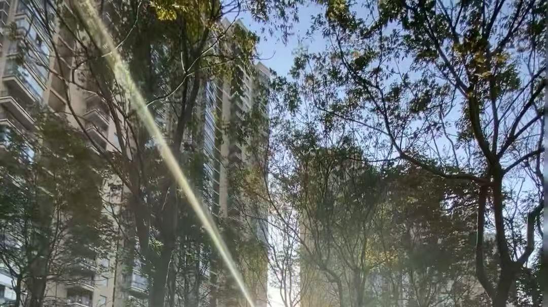 那个忘不掉的人，其实早被你留在了回忆里