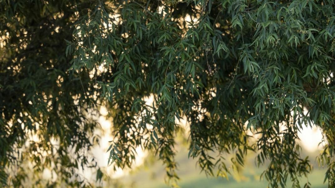 不是男孩难养，而是我们不懂他！揭秘10个男孩背后的小知识