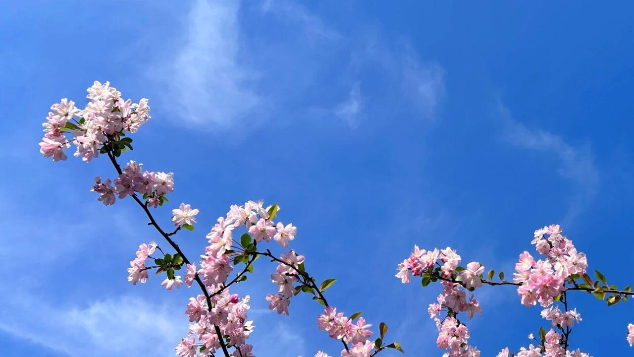 婚后，男人需要的“爱”是这些，别给错了