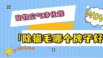 宠物空气净化器除猫毛哪个牌子好？十大排名出炉，选机不踩坑