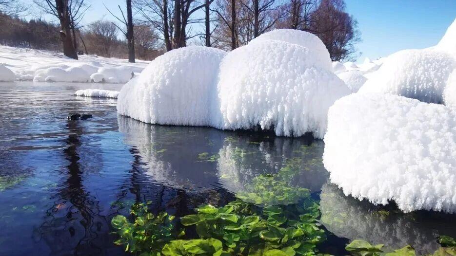 2026来内蒙古过大年  冷资源变身热经济 冰雪产业启新程