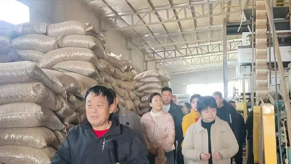 政企联动强技能 观摩赋能促振兴——汝南县农业农村局赴河南三九种业开展技术交流活动