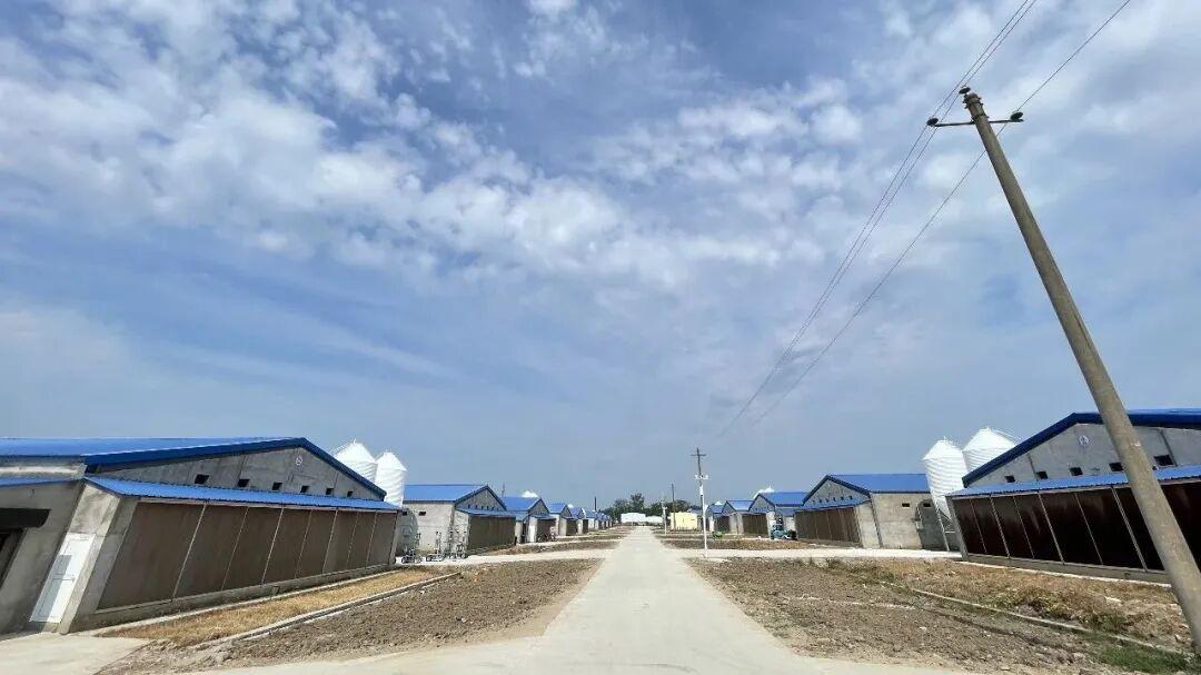华英生态养殖公司示范一场顺利竣工投产