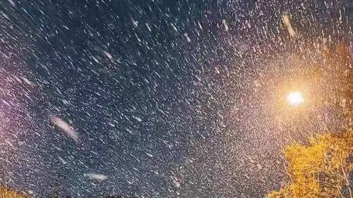 【新闻特写】    雪中情