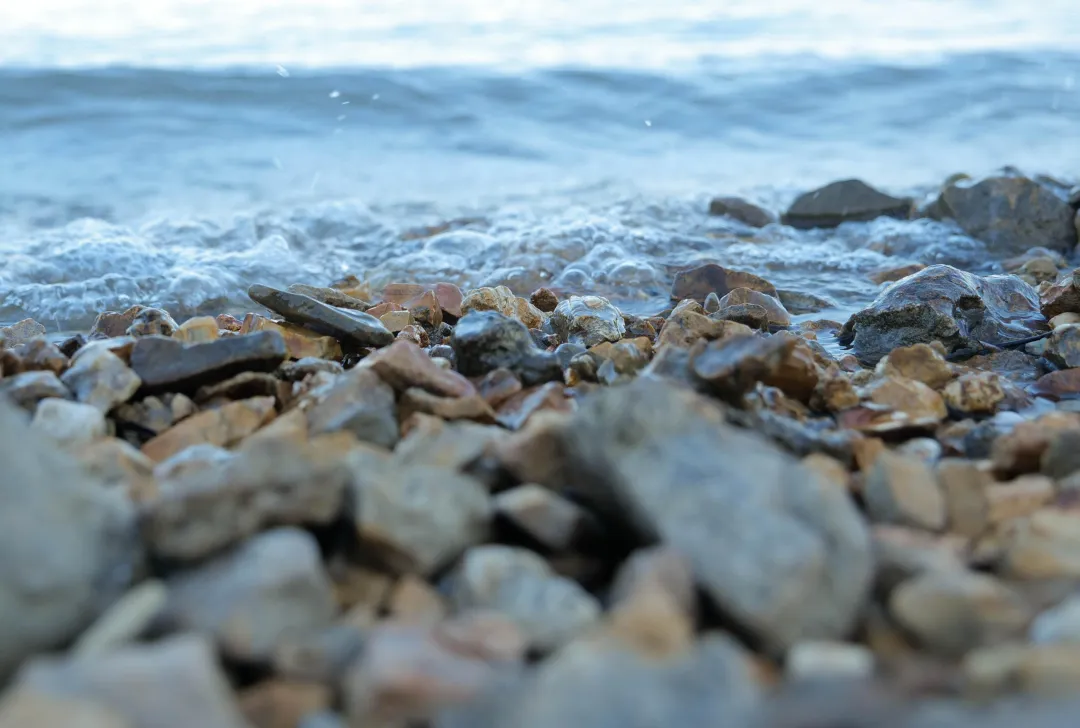 拒绝套路，2026年“三八”妇女节全国景区免票榜，哪家真免一眼便知