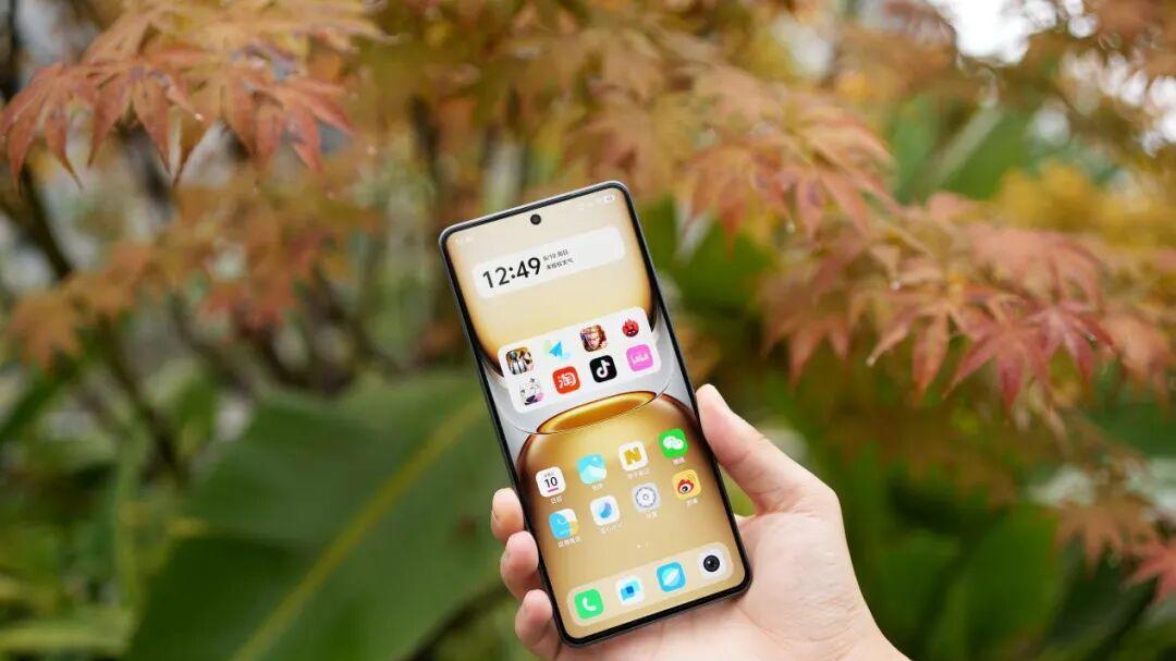 长辈用机首选，“值得入手”的4款手机！