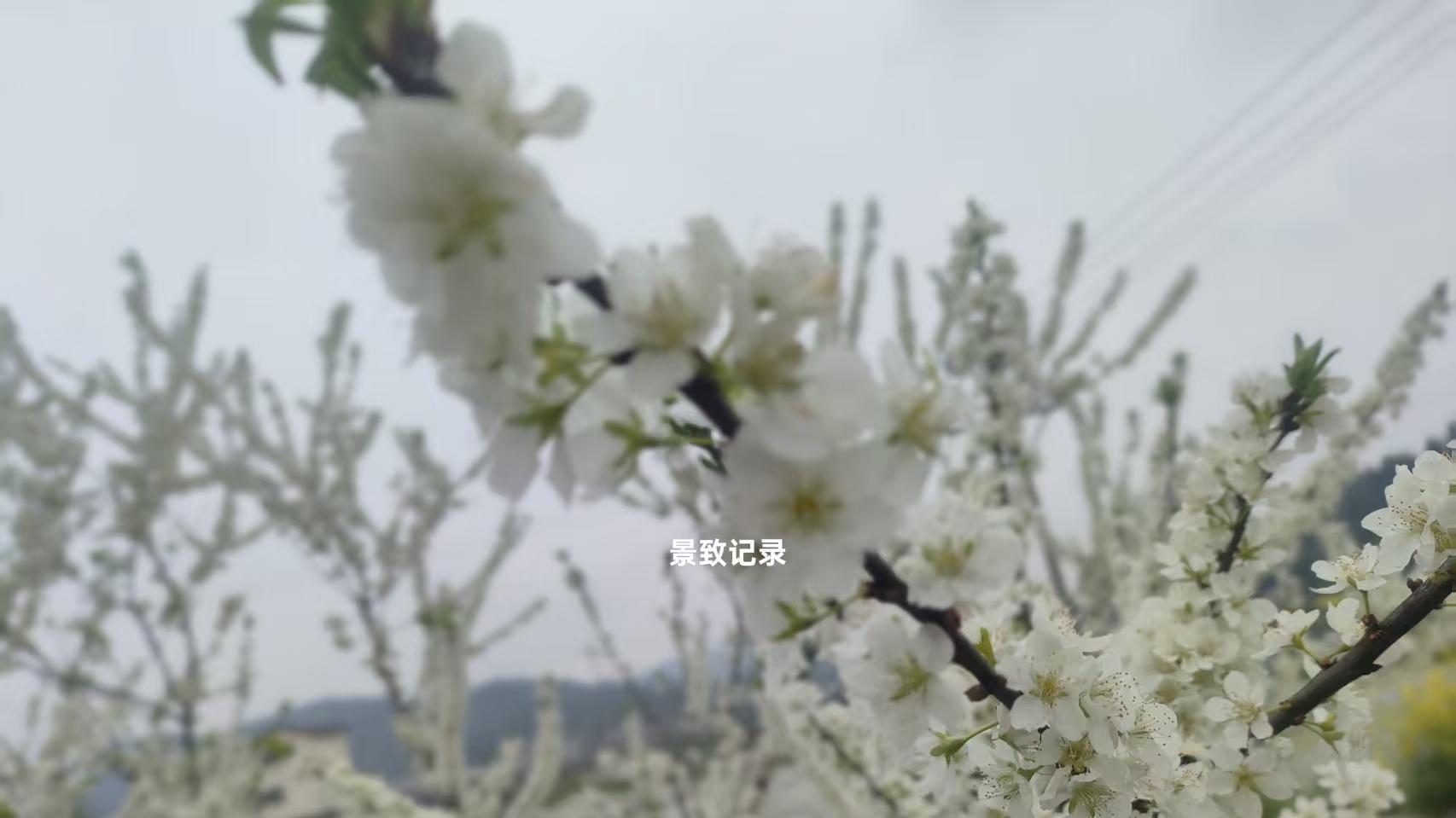 景致记录：在美国波特兰运河上，船停靠时，巨人车夫拜访狄更斯