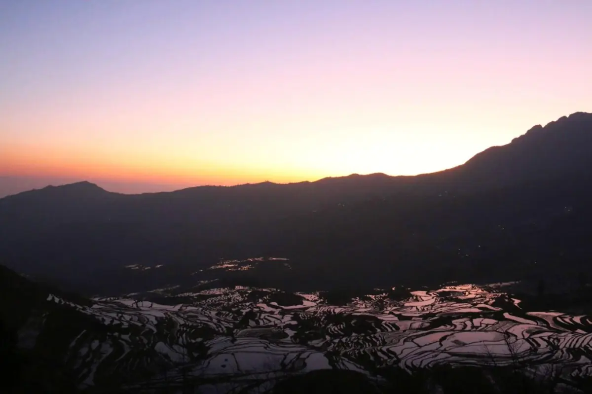 元阳梯田，前人栽树后人乘凉的典范（多依树）