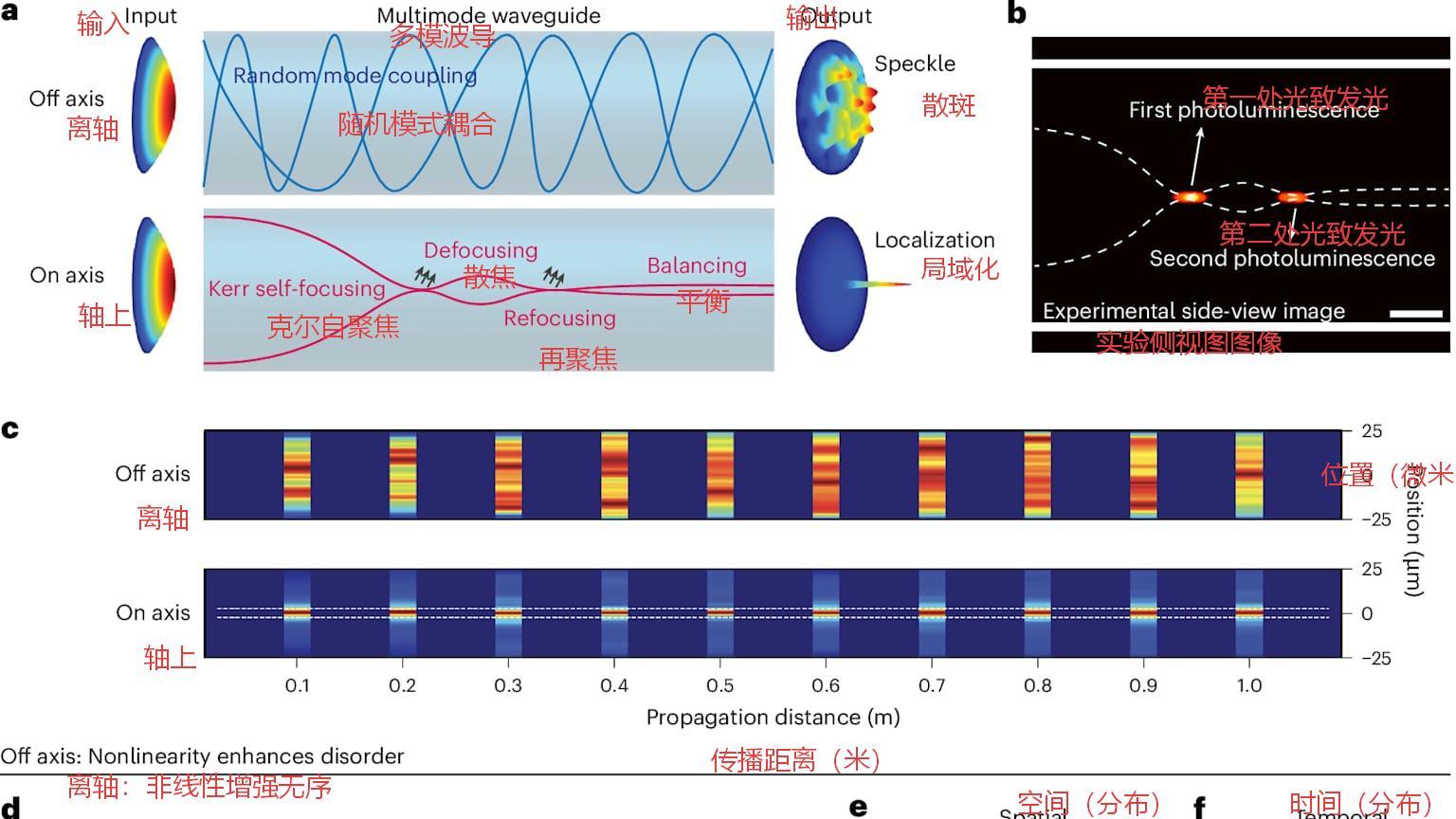 为什么这束会自我聚焦的光，可能会改变脑部成像