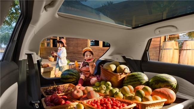 8万级家用纯电SUV怎么选？极狐T1 vs 零跑A10实测对比