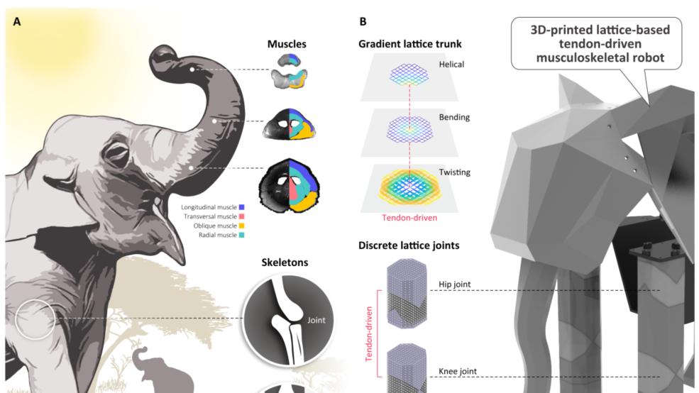 Science Advances | 一种材料造出整只大象机器人：晶格几何编程实现从柔软到刚硬的