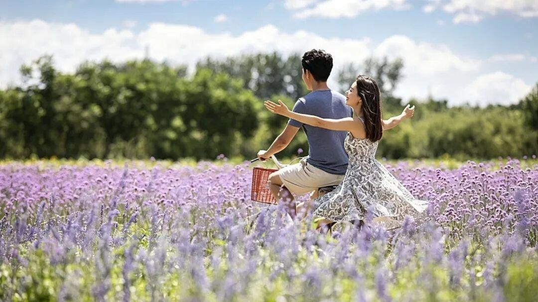 人生下半场，请务必戒掉被爱的执念