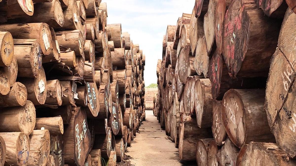 国内木材进口：3月进口量环比回升45.5%，同比仍下滑14.2%