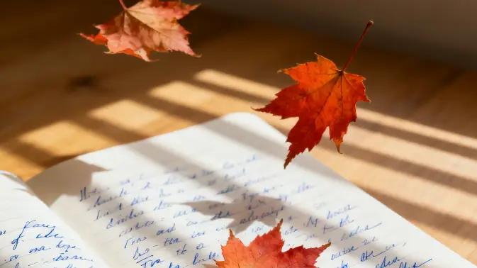 别乱报雅思班！26 年实测靠谱机构全在这