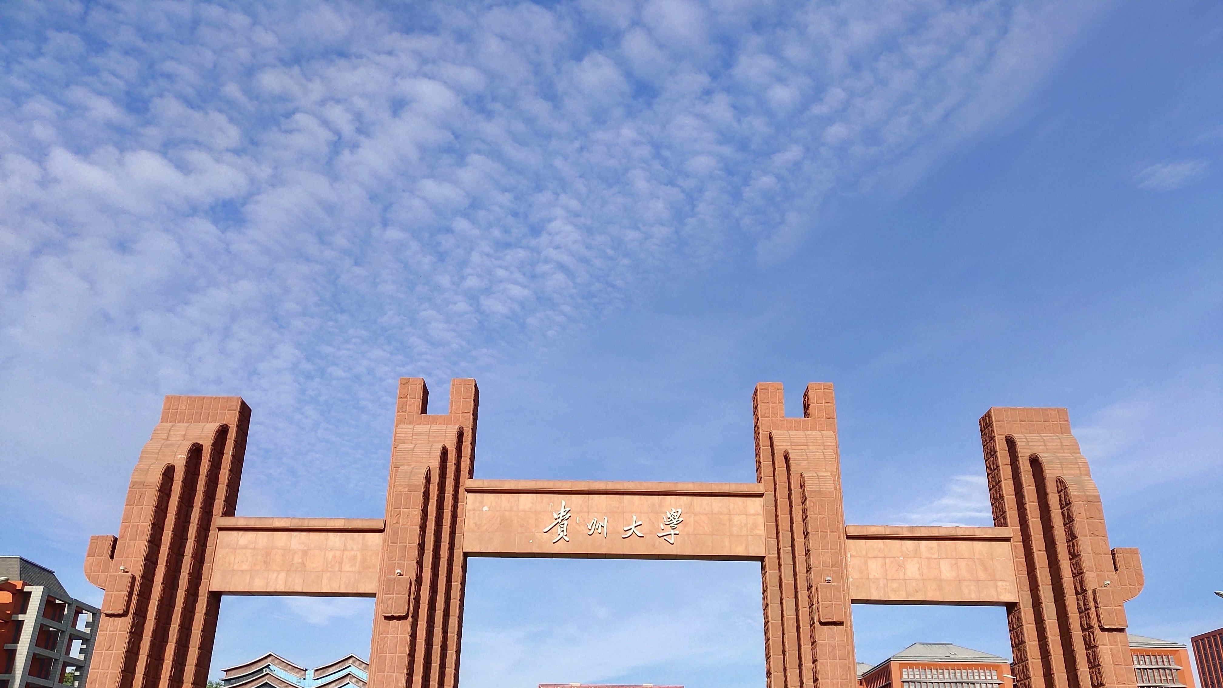 报考条件设置不当？岂能在“招聘被指萝卜岗”后如此搪塞？