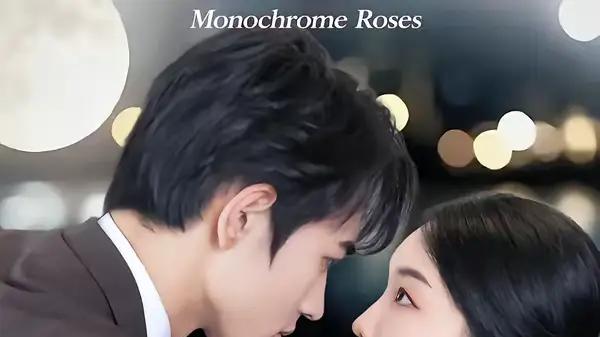 《白玫瑰的假面游戏》匠心之作，（88集）悬疑交织，高能反转直击人心