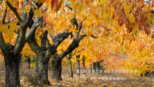 为什么你需要一个个人成长计划？制定个人成长计划的5个步骤