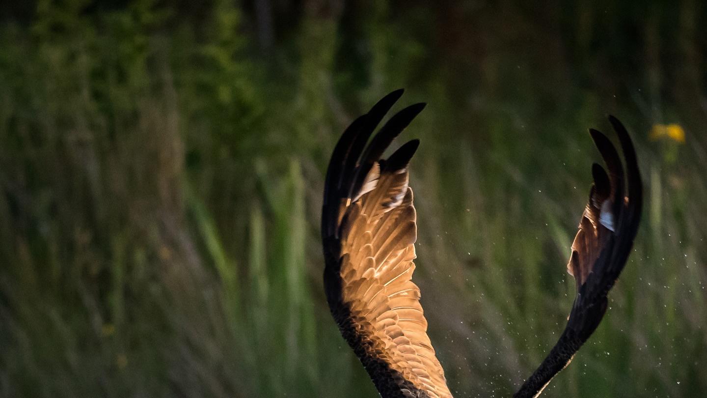 访谈了一位被开除3次的高管，他说出了大学从不教的职场护城河