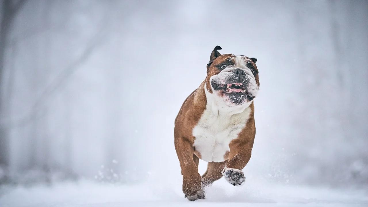与自己长久而无声的对谈