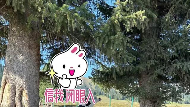 在唯品会3折蹲到伯希和冲锋衣，刷新了对户外装备的认知