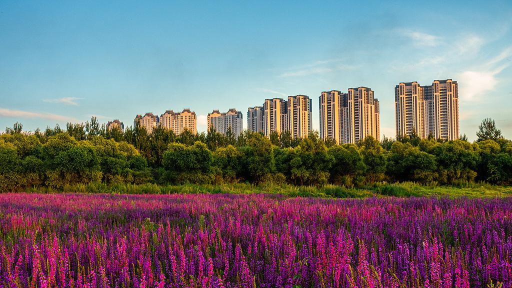 接的住话是一种能力