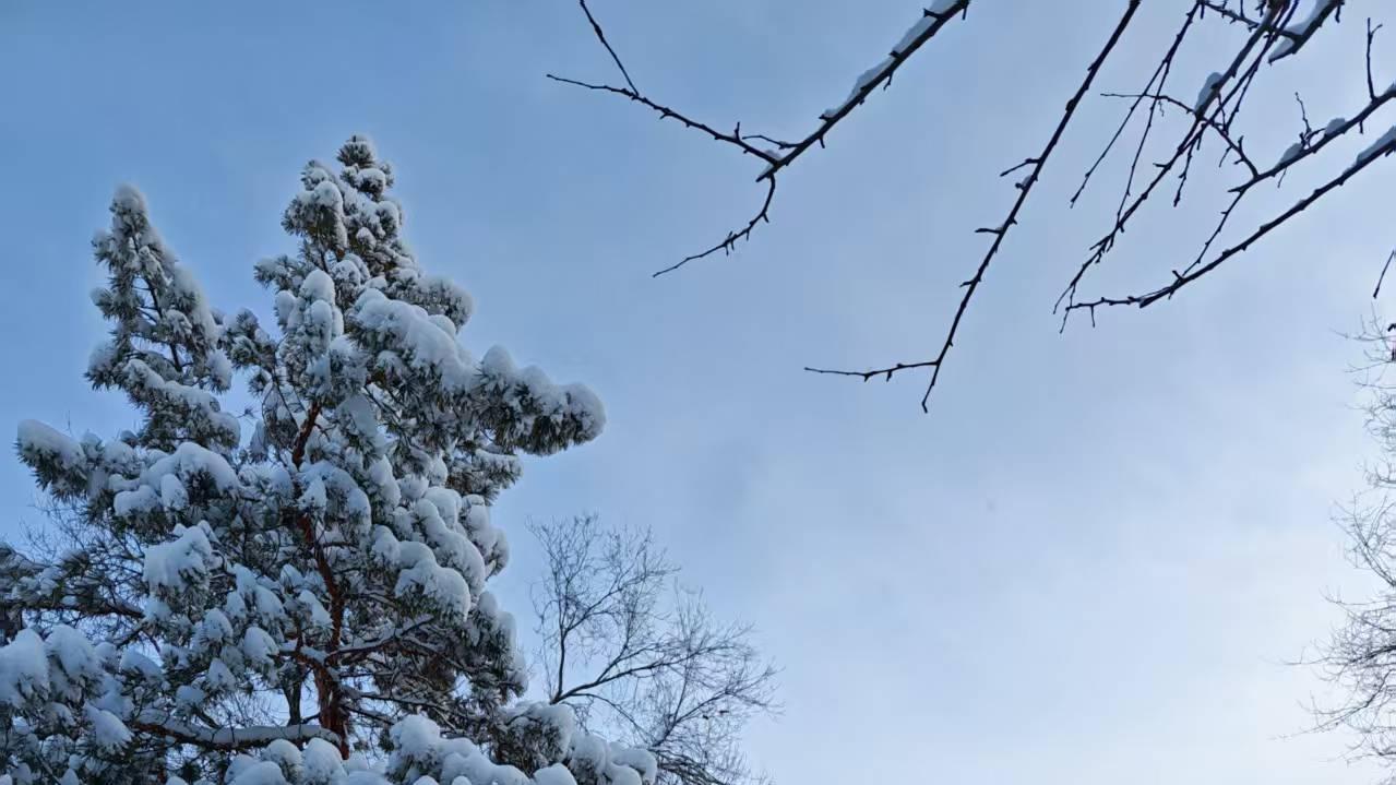 “省时参观幼儿园不麻烦，8步方案高效搞定”