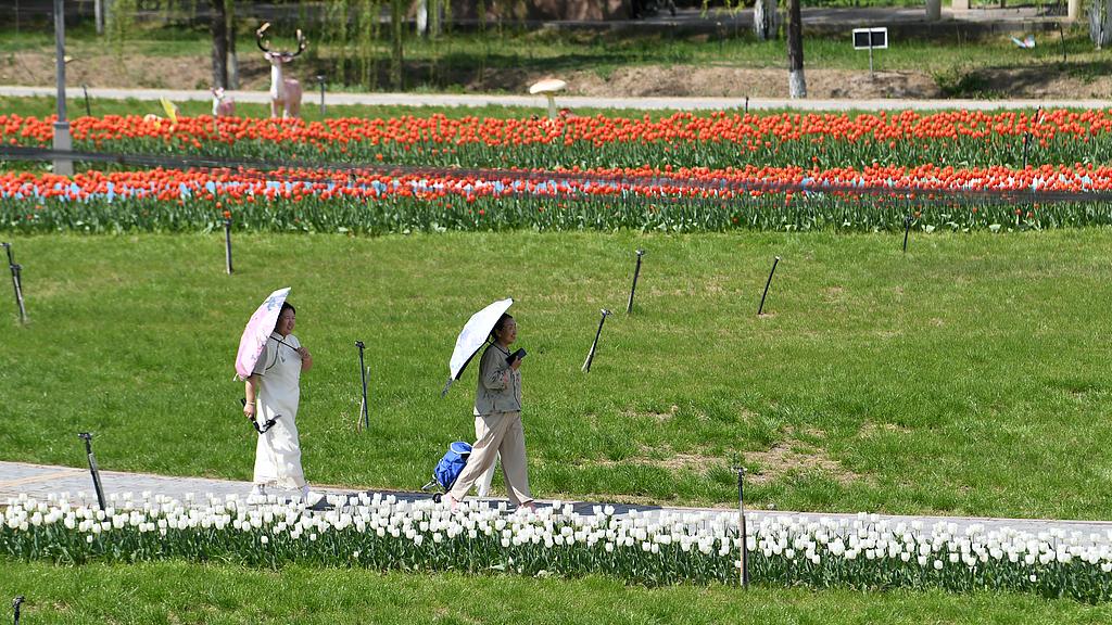 蝴蝶大乐透26044期分析，本期的热码是需要防的，有机会开出3个左右号码