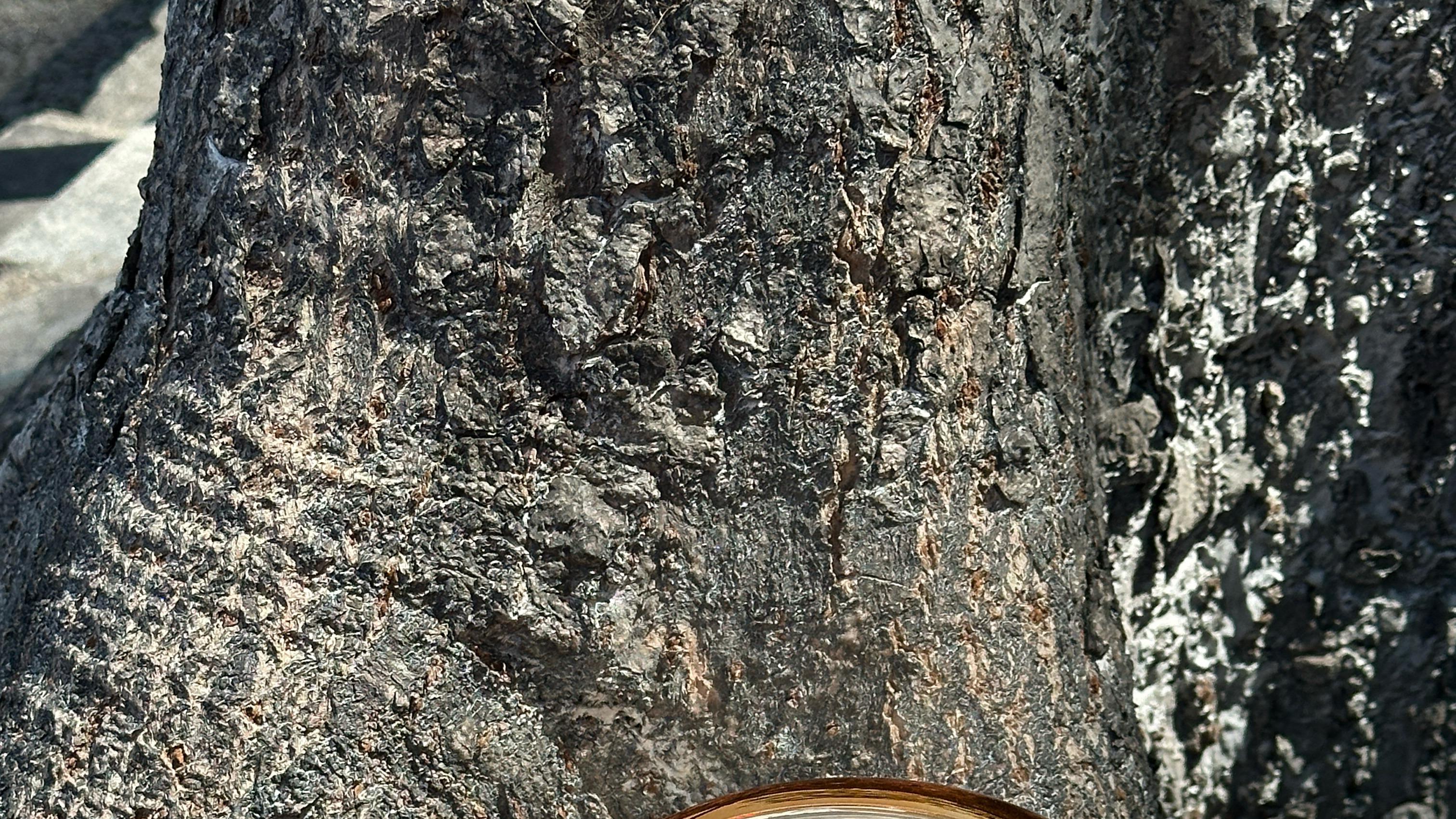 比“我爱你”更动人的，是那句“我杀猪养你”