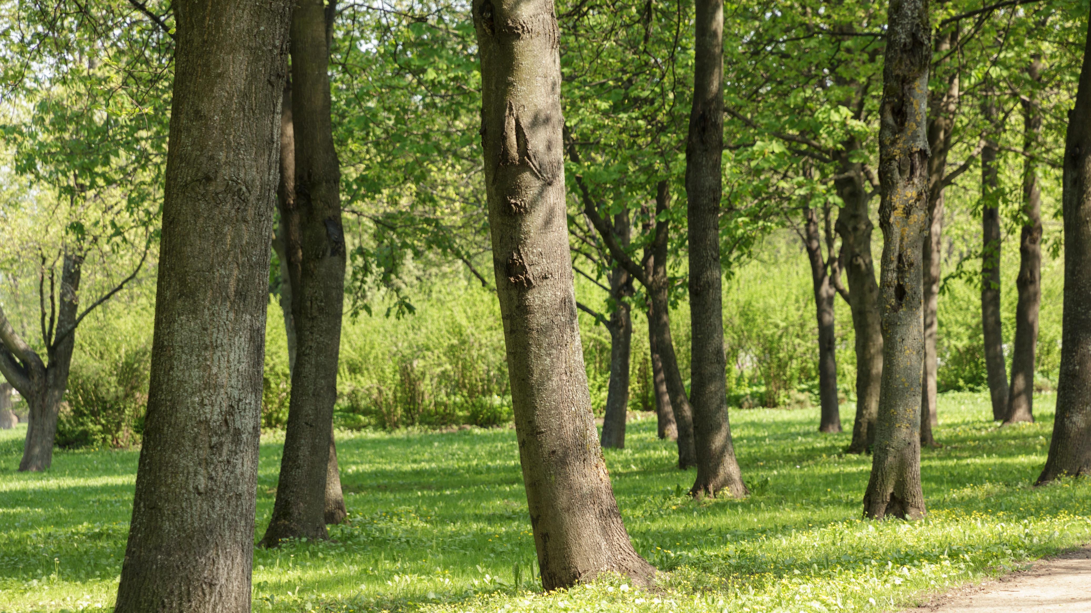 外资态度为什么突然变了？不是抄底是改配置