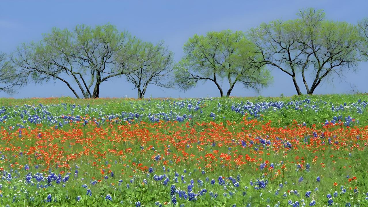 培养“空杯思维”，才能持续成长（思维痛点：骄傲自满、固步自封）