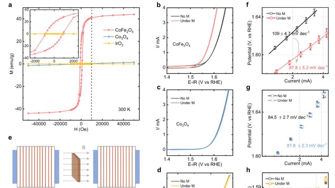 什么是自旋极化？定义、调控方式（磁场、手性结构等）及催化应用详解