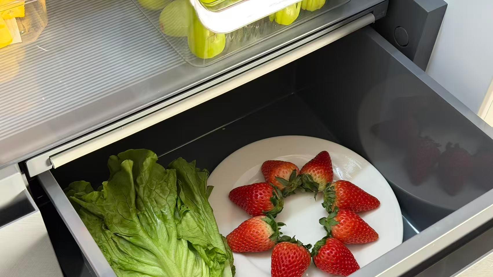 春节囤货自由！TCL 515双磁鲜冰箱，100天鲜度不打烊