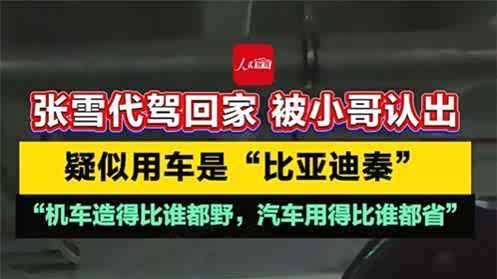 秉持相同的技术追求：懂机械的张雪，终究选择比亚迪秦L