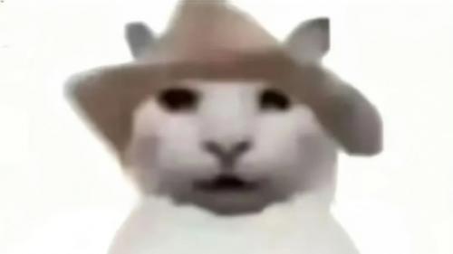 批量收截图，不用逐张存，接龙管家AI帮你批量收集+打包整理