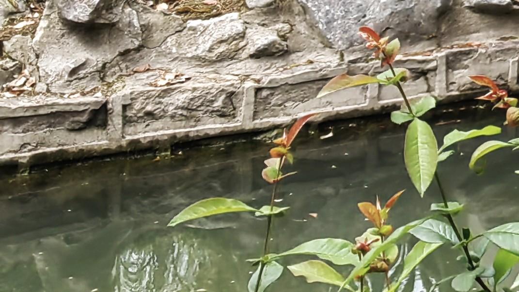 高效工作，允许浪费