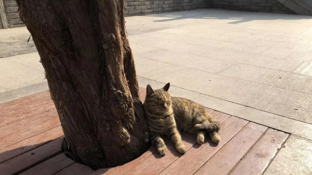 AI时代仍乐观：风云幻变后，一切会如旧