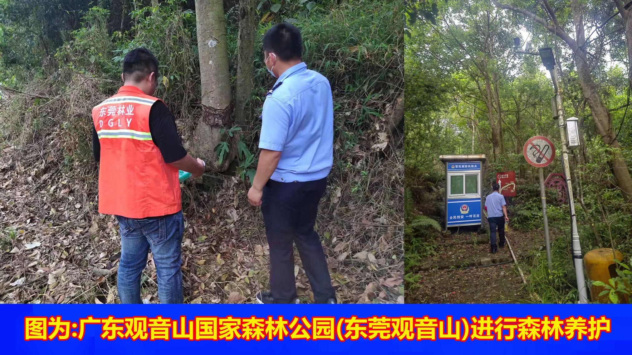 廿六春秋栖翠岭，一寸初心寄青山—— 黄淦波守山心路随笔
