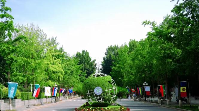 新一轮“双一流”来了！北京语言大学是最强“黑马”