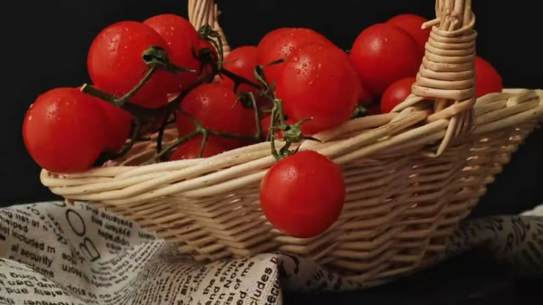 听张雪峰劝：普通人家的孩子，别拿人生赌捷径