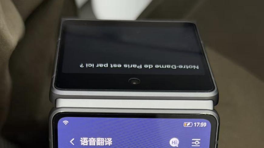 暑期带父母去欧洲，父母年纪大语言完全不通，翻译机适合他们吗？