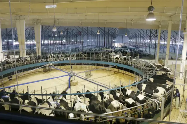 君乐宝要去港股讲一个新故事