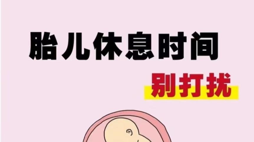 胎儿的“小秘密”：这几个时间段，千万别打扰宝宝休息！
