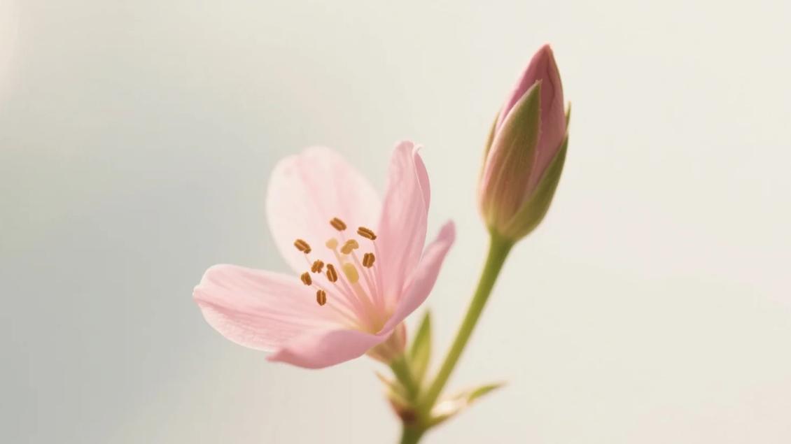 哈佛大学追踪75年发现：一个人的命运，决定于晚上8点到10点